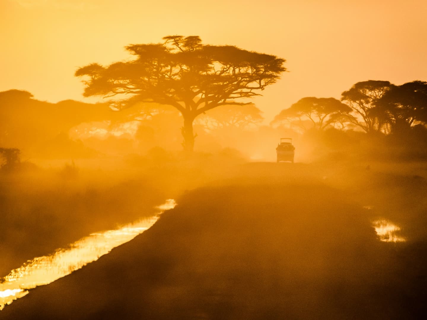 Namibia Driving Experience – An 11-Day Guided Self-Drive Adventure